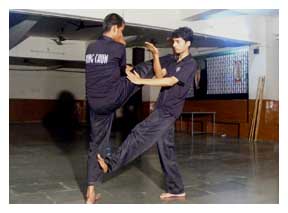 wing chun kung fu india