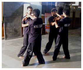 wing chun india